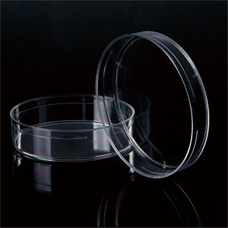 Culture Plate Disposable Culture Plate Culture Plate Disposable Culture Plate